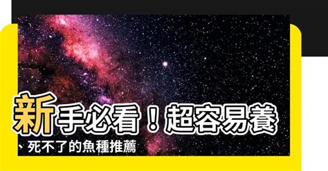 不容易死的魚 前陽台風水